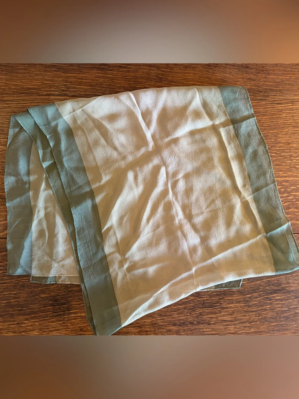 Ellen Tracy Vintage Silk Organza Scarf Tan and Olive Green 52” x 14”